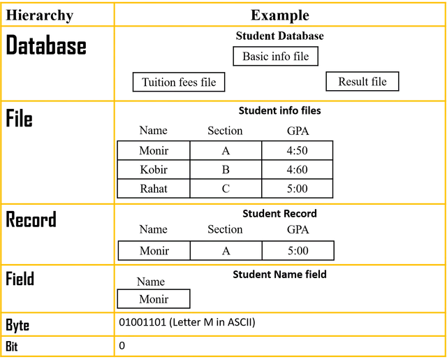 https://i1.wp.com/www.edupointbd.com/wp-content/uploads/2018/08/data-hierarchy.png?resize=640%2C518