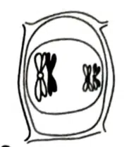 এইচএসসি জীববিজ্ঞান ১মপত্র <a href=