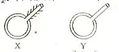 হাইড্রা MCQ সাজেশন ┃ Hydra MCQ suggestion( প্রানীর পরিচিতিঃ হাইড্রা)