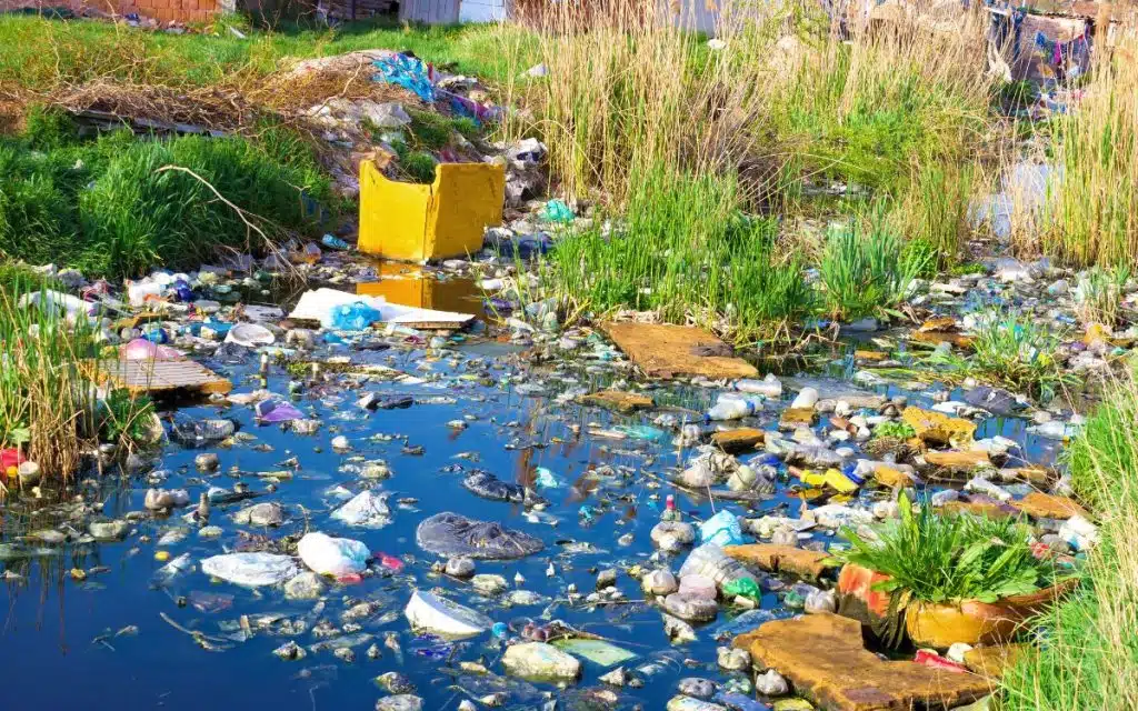 Water Pollution Paragraph For HSC SSC JSC Masters